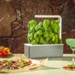 smart garden click and grow