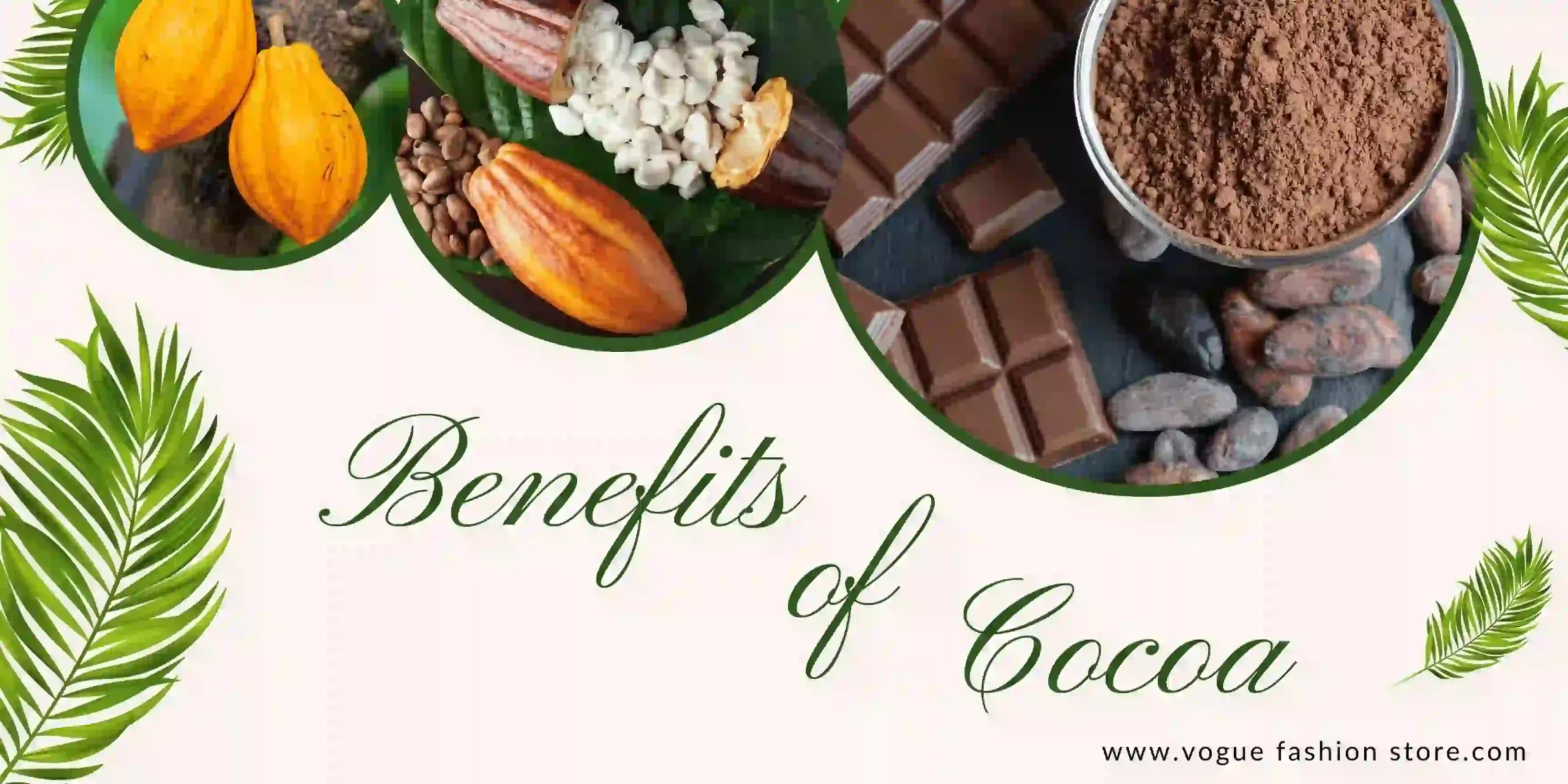 Benefits of Unsweetened Cocoa Powder