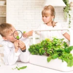 Indoor-Garden-for-kids