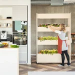 Kitchen-home-indoor-garden