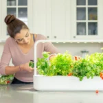 lifestyle-woman-cutting-basil-indoor-garden